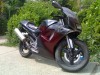 Aprilia RS 50
