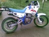 HONDA DOMINATOR 650