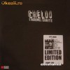 LP vinil (vinyl) DJ CHELOO (PARAZITII) - Sindromul Tourette