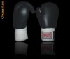 manusi kickbox, manusi kickboxing, manusi ring, manusi kick-box