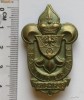Insigna mare Cercetasie 1938 Transilvania
