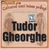 TUDOR GHEORGHE - CALVARUL UNEI INIME PRIBEGI  (CD) SIGILAT!!!