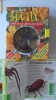 BUG BOX - jucarie/carte - BEETLES