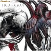 In Flames - Come Clarity  CD nou, nesigilat! CD si DVD la comanda