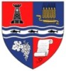 PALINCA TRADITIONALA DE BIHOR