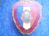 insigna militar de frunte