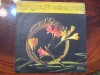 DISCURI VINIL - TANGOURI CELEBRE 3