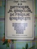 Dictionar al numelor de familie romanesti-IORGU IORDAN