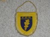 FANION FEDERATIA ROMANA DE RUGBY 85 DE ANI