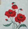 Tablou ulei.panza 50x50cm cutit - Maci -