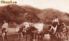 Romania,carte postala circulata 1920:Car cu boi,costume populare