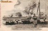 Salutari din Romania,carte postala UPU necirculata apr.1902: Cioban cu oi