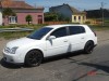 opel signum opel signum