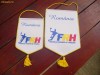 SET FANION OFICIAL -FEDERATIA ROMANA DE HANDBAL