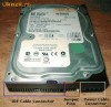 Hard Disk Western Digital 20 / 40 / 80 GB