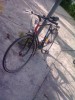 bicicleta adulti