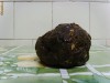 propolis