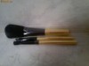 Set pensule Elizabeth Arden