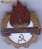 insigna pionier sunt gata intodeauna insigna pionier sunt gata intodeauna
