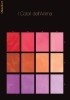 I Colori del Anima 0,750 ml - coloranti naturali pentru Stucco Veneziano