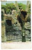 2602 - URS, Gradina Zoologica din CHICAGO - old postcard - unused