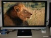 Monitor LCD de 22 inch E2200HDA