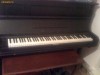 Pianina Hoff & Co de COLECTIE