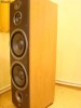 Boxe JBL E100