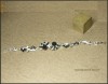 Bratara placata cu aur, cu cristale swarovski clear si jet - bijuterii mireasa