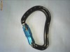 Mammut Bionic Mythos Carabiner