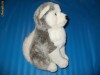 jucarii catel catelus husky