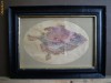 Pictura veritabila, gravura colorata (ac si aquatint) - Pictura veritabila, gravura colorata (ac si aquatint) -