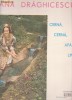 CERNA ,CERNA , APA LINA ~MARIANA DRAGHICESCU ~LP VINIL