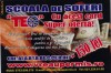 Vouchere Scoala de soferi TEO
