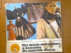 MICI OBIECTE VESTIMENTARE SI DECORATIVE DIN MATERIALE DIVERSE - LIANA-ELENA NEAGU