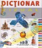 Dictionar Vizual / Enciclopedie ,editura Corint, 2500 ilustratii , 608 pagini