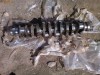 Vand VIBROCHEN motor CASE 6 pistoane+ax cu came