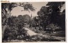 Cluj Napoca - Gradina botanica, ilustrata 1940