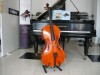 Vand Violoncel din lemn de paltin