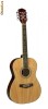 RICHWOOD RD-1034 Chitare - Acustica - scala 3/4