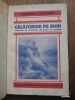Calatorind pe Rhin-Povestiri decalatorie impletite cu legende - LAURENTIA I. BACLABASA / SEMNATURA AUTOAREI