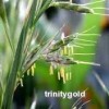 Ulei esential de palmarosa BIO, 100% pur si natural