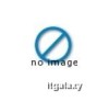 Husa Laptop Notebook Lenovo IdeaPad 10