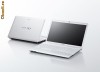 Vand Sony Vaio VPCEH2H1E white