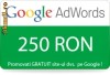 Cupon / Voucher Google AdWords Romania  in valoare de 250 RON