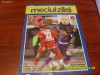 program    Dinamo  --  Steaua