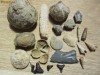 Diverse fosile din Silurian Devonian Jurasic Cretacic Eocen Miocen