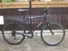 BICICLETA  GIANT