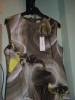 rochie de dama  versace- collection