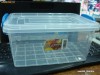 CUTIE ALIMENTE 3L,CUTIE MANCARE,CUTIE PESCUIT,CUTIE SCULE,CUTIE PLASTIC,CUTIE TRANSPARENTA,CUTIE DEPOZITAT,CUTII  PENTRU  DEPOZITAT,CUTIE  PICNIC...